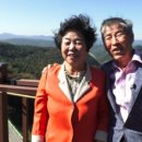 보은황토농장 네이버블로그