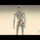 스포니스 잠실새내점 이미지