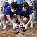 푸른바다 이미지