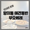부산광역시 수영구 연수로 285-1    (망미동) 앞 횡단보도 | 망미동 애견동반맛집 예약필수 ! 무오베레 내돈내산 방문기