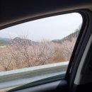 진보면 노래교실 네이버블로그