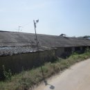 대환축사 이미지