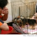 짱가짱가 이미지