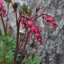 우슬재황토촌 이미지