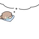 스테이 팔랑 이미지