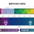 다보아안경원 이미지