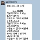 첫봄이 오시는 노래 / 장영남 이미지