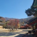 모악산도립공원 Daum카페