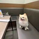 고기반찬 - 부천시 소사구 성주로 84 | 은평구 고공｜고기부터 반찬까지 만족한 고깃집 후기