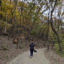 수리산 산림욕장 | 무릎에 부담 없는 군포 수리산 산림욕장 둘레길 트레킹