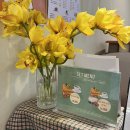 성신여대 카페 @그릭샌드욤욤, 다양한 토핑 수제요거트와 뚱샌드위치❤️