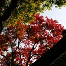 진주성관리사무소 이미지