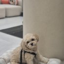 유일안 | 단 1회로 달라지는 윤곽관리 승모근라인 + 중안부 축소로 작은 얼굴 완성! 창원 중동 어반브릭스 윤곽...