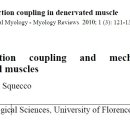 Excitation-contraction coupling in denervated muscle - 꼭 읽고 정리해야 할 자료 이미지