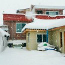 잠잠비치 이미지