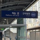 싱글벙글복집 | [구미] 싱글벙글 복어 본점 :: 복매운탕 / 복껍질무침...이거 먹으러 구미갔다온 후기 (feat 대경선 후기)