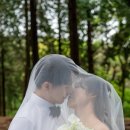 웨딩사진 보정업체 &#39;오유엔와이스튜디오&#39;