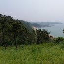 중문관광로 이미지