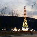 어슬렁대추정원 이미지