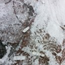 시골공인중개사사무소 이미지