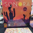 꿀뱀이 | [보드게임 후기] 아하이하우 / Coatl / 다이스 하스피탈(주사위 병원) / 카멜룻 / 소노라(Sonora...