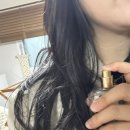 머릿결사랑 | 머릿결관리 겸 향수 헤어퍼퓸 시니크 후기