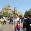 (주)쥬라기 | 유니버설 스튜디오 재팬(USJ) 오픈런 해리포터, 쥬라기공원, 워터월드, 슈퍼 닌텐도 월드 익스프레스...