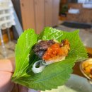 돈바당