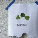 행운나눔