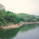 구룡약품 이미지