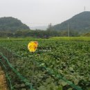 백운천 이미지