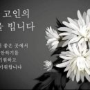 새금산장례식장 이미지