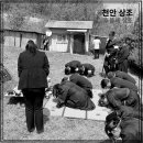천안삼거리국화원장례식장 이미지