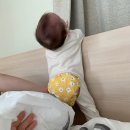 뽐내고 싶은 날