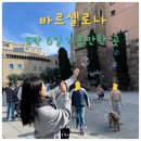 🇪🇸 바르셀로나 여행 일정 5박 6일 l 가볼만한 곳 l 쇼핑리스트 추천 l 맛집