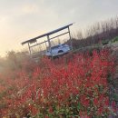 이상농장 이미지