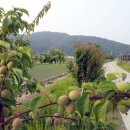 증촌 경로당 이미지