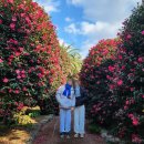 남원읍-97 | 제주도겨울여행 가볼만한 곳 놀거리 가족여행 5곳 추천