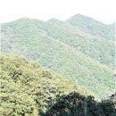 역고개농장 이미지