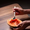 PAPAYA 이미지