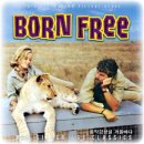 평원의 무법자 [High Plains Drifter] 이미지