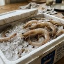 새우일 산소 | 대한민국농수산 국산 흰다리새우 가격 시세 손질법부터 생새우 회 맛있는 후기