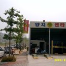 양지카센타 - 북구 연양로 78 | 양지카센타