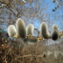 (주)산강아지 티스토리