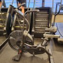 알이조아 이미지