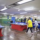 탁구 초급반 이미지