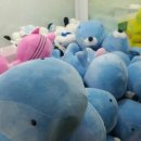 뽑아보세 이미지