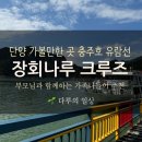 GS25단양나루점 | 단양 가볼 만한 곳 충주호 유람선 장회나루 크루즈 후기