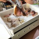 이마트24 연천와초리점 | 12월 겨울 동계캠핑_오로라 불멍_연천 신규오픈 우리오토 캠핑장