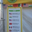 치맥 | 2026년 대구치맥페스티벌 미리 다녀온 후기